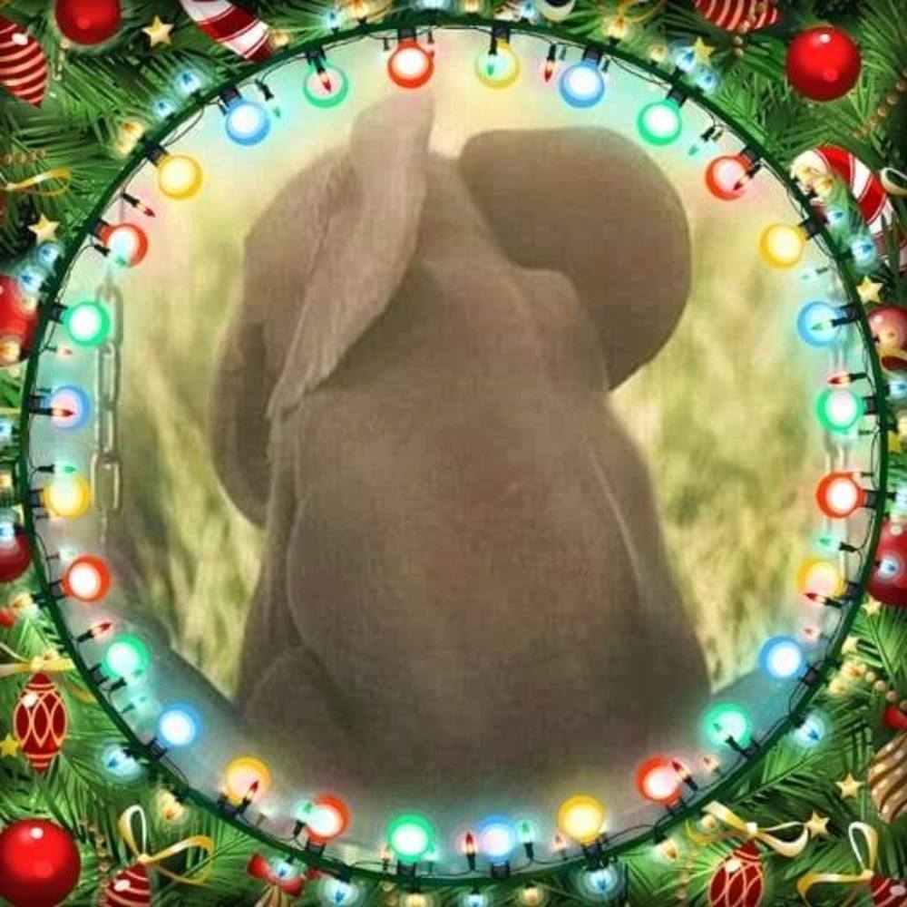 Meet your Posher, Sabrina